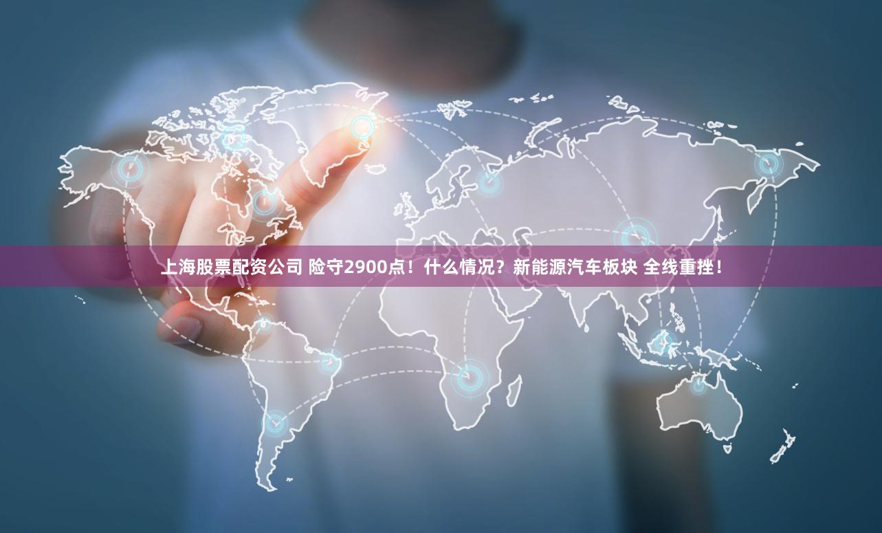 上海股票配资公司 险守2900点！什么情况？新能源汽车板块 全线重挫！