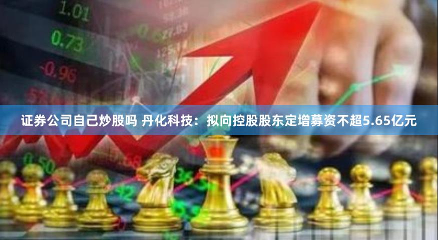 证券公司自己炒股吗 丹化科技：拟向控股股东定增募资不超5.65亿元