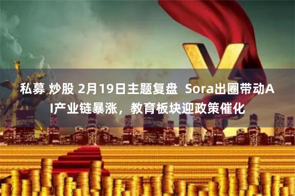 私募 炒股 2月19日主题复盘  Sora出圈带动AI产业链暴涨，教育板块迎政策催化