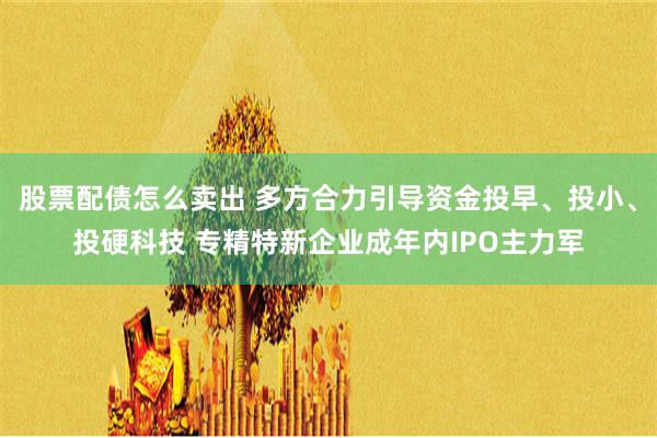 股票配债怎么卖出 多方合力引导资金投早、投小、投硬科技 专精特新企业成年内IPO主力军