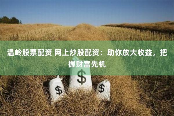 温岭股票配资 网上炒股配资：助你放大收益，把握财富先机