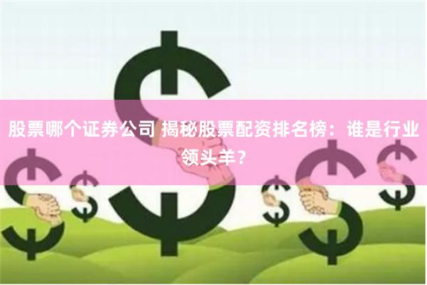 股票哪个证券公司 揭秘股票配资排名榜：谁是行业领头羊？